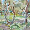 Olive grove       11x14    2013